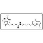 Biotin-PEG1-NHS ester pictures