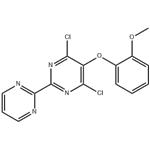 4,6-Dichloro-5-(2-methoxyphenoxy)-2,2'-bipyrimidine pictures