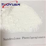  Nandrolone phenyporpionate