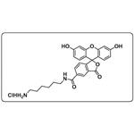 5-FAM amine HCl pictures