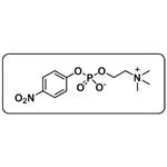 p-Nitrophenyl phosphorylcholine