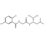 	(R)-1-(2-(2,5-dichlorobenzamido)acetamido)-3-methylbutylboronic acid