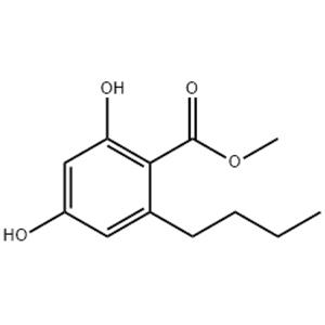 Lipase