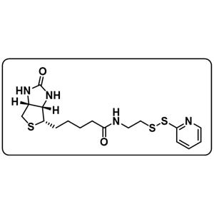 PDTE-Biotin [Biotin-[2-(2-pyridyldithio)ethylamide]]