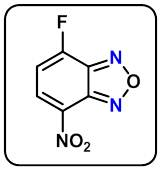 4-fluoro-7-nitro-2,1,3-benzoxadiazole