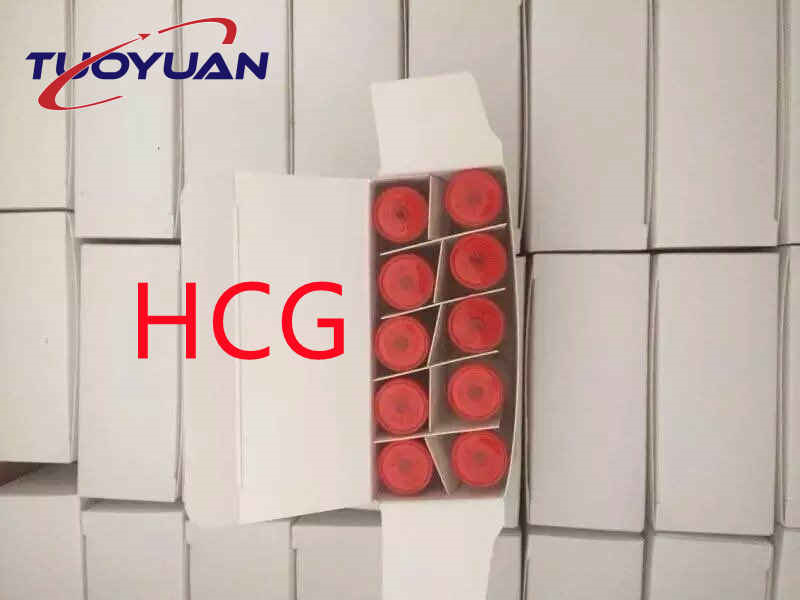 Human Chorionic Gonadotropin HCG