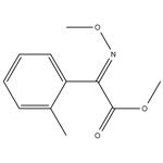 Methyl 2-(MethoxyiMino)-2-o-tolylacetate