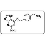 6-((4-(Aminomethyl)benzyl)oxy)-7H-purin-2-amine