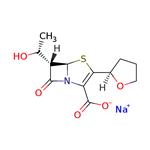 Faropenem sodium pictures