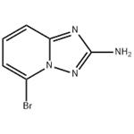5-Bromo-[1,2,4]triazolo[1,5-a]pyridin-2-ylamine pictures