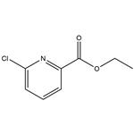 	ETHYL 6-CHLORO-2-PYRIDINECARBOXYLATE pictures