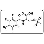 ATFBC-MTS [4-Azido-2,3,5,6-tetrafluorobenzamidocysteine methanethiosulfonate]
