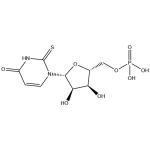 2-Thiouridine5'-phosphate