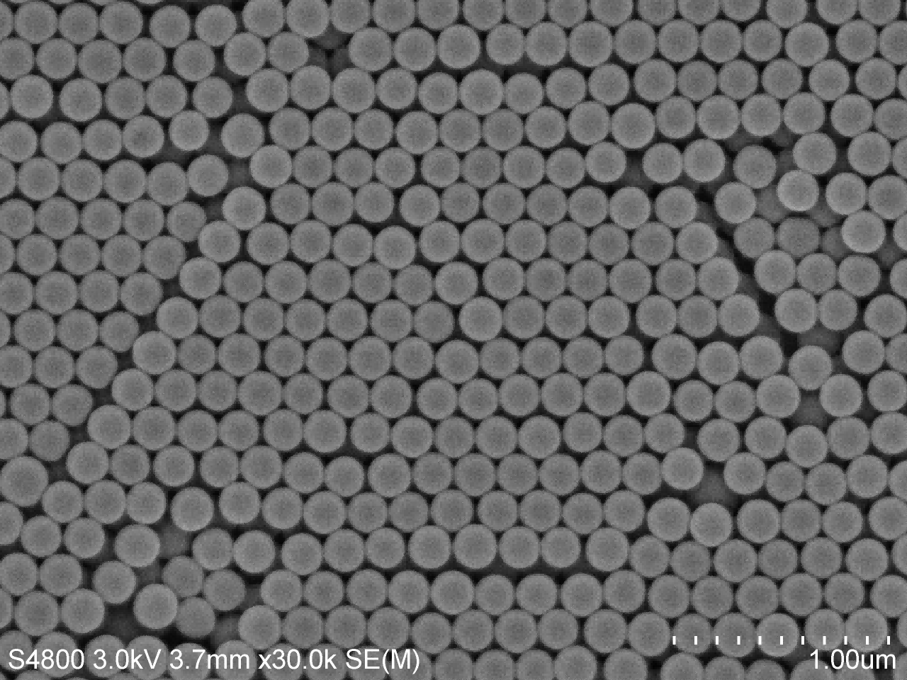 100nm Carboxyl-funtionalized Near-infrared(II) Microspheres
