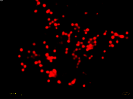AIE Super-Resolution RED - Lipid Droplets