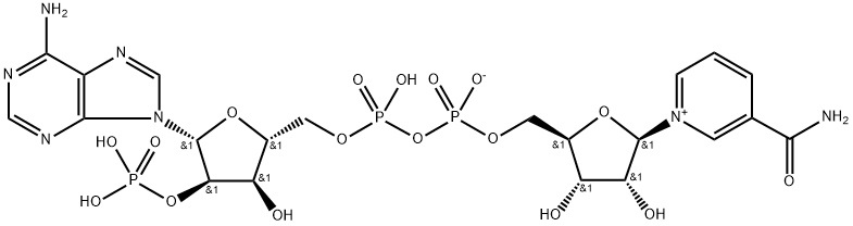 Triphosphopyridine nucleotide