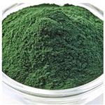 Spirulina Powder pictures