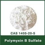 1405-20-5 Polymyxin B Sulfate