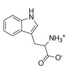 L-Tryptophan pictures