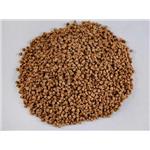 Walnut Shell Filter Walnut Shell Abrasive Materials for Water Treatment, Polishing, Tumbling