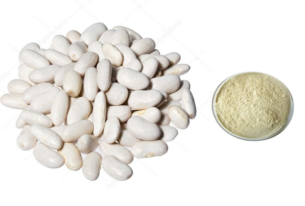 White kidney bean extract