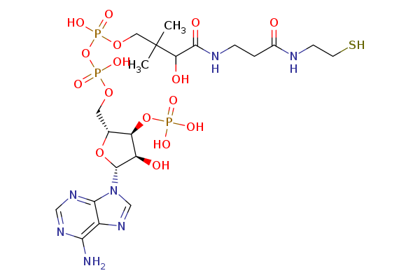 Coenzyme A