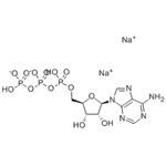 Adenosine-5'-Triphosphate Disodium pictures