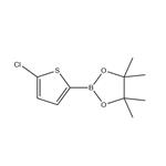 2-(5-chlorothiophen-2-yl)-4,4,5,5-tetramethyl-1,3,2-dioxaborolane