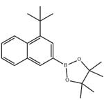 2-(4-(tert-butyl)naphthalen-2-yl)-4,4,5,5-tetramethyl-1,3,2-dioxaborolane pictures