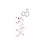 Adenosine-5'-diphosphate disodium salt?