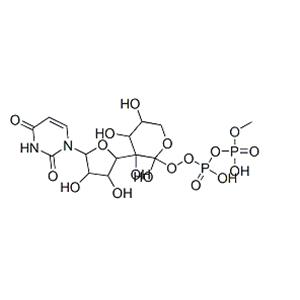 UDP-a-D-xylose