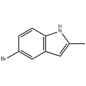 5-BROMO-2-METHYLINDOLE