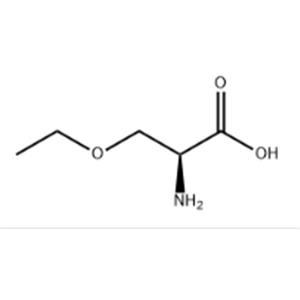 O-Ethoxy-L-serine hydrochloride