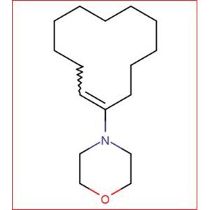 1-Morpholinocyclododecene