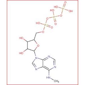 N6-Methyladenosine 5'-triphosphate