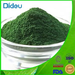 Indocyanine green