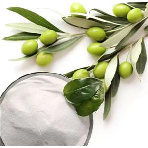 Water Soluble Olive Leaf Extract Hydroxytyrosol   