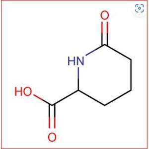 6-OXO-PIPERIDINE-2-CARBOXYLIC ACID