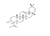9,11-Dehydro-β-boswellic acid