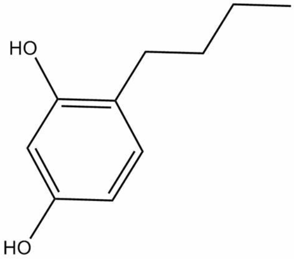 4-Butylresorcinol a highly effective tyrosinase inhibitorn