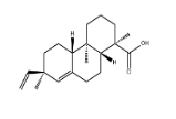sandaracopimaric acid