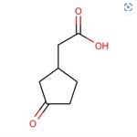 2-(3-oxocyclopentyl)acetic acid pictures