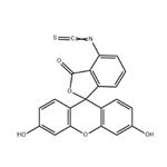 3',6'-Dihydroxy-6-isothiocyanatospiro[isobenzofuran-1(3H),9'-[9H]xanthen]-3-one pictures