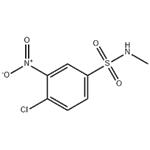 2-NITROCHLOROBENZENE-4-SULFOMETHYL AMIDE pictures