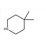 4,4-dimethylpiperidine pictures