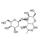2-AcetaMido-2-deoxy-3-O-(β-D-galactopyranosyl)-D-galactose pictures