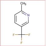 2-METHYL-5-(TRIFLUOROMETHYL)PYRIDINE pictures