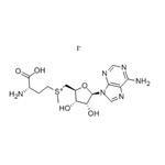 S-(5'-Adenosyl)-L-methionine iodide pictures