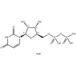 Uridine-5'-diphosphate disodium salt pictures