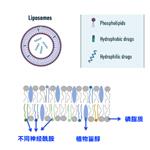 Composite Ceramide Lipid Vehicle 3.0 Pro pictures